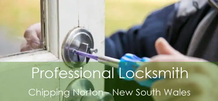 Professional Locksmith Chipping Norton - New South Wales