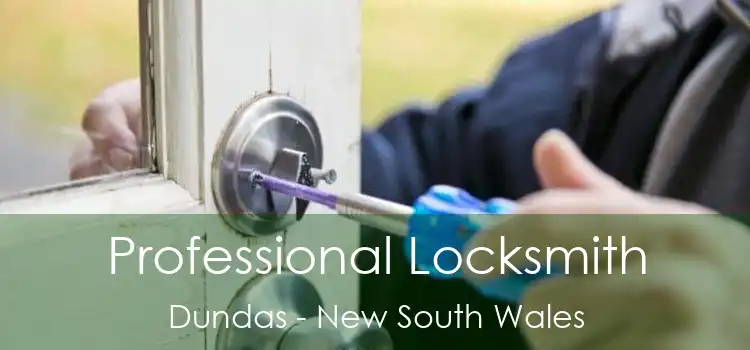 Professional Locksmith Dundas - New South Wales