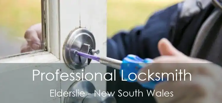 Professional Locksmith Elderslie - New South Wales