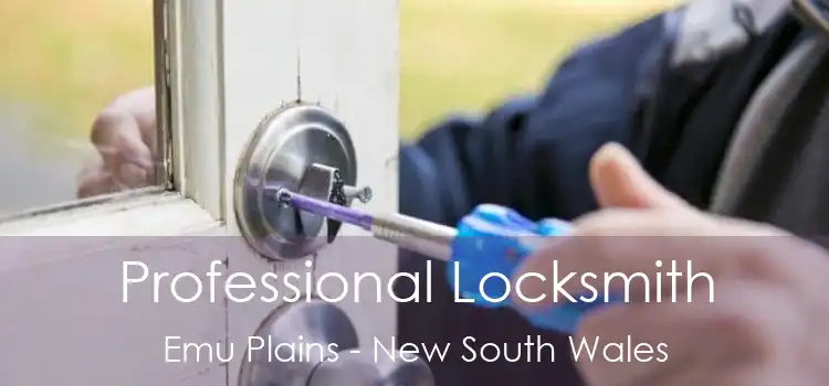 Professional Locksmith Emu Plains - New South Wales