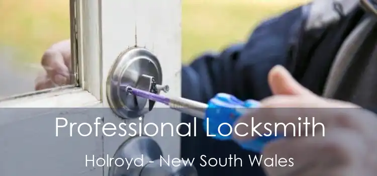Professional Locksmith Holroyd - New South Wales