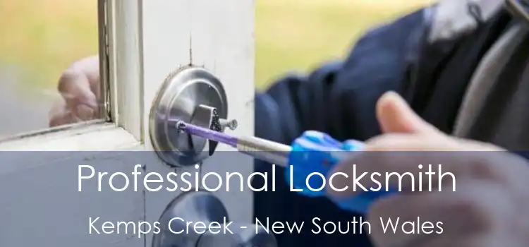 Professional Locksmith Kemps Creek - New South Wales