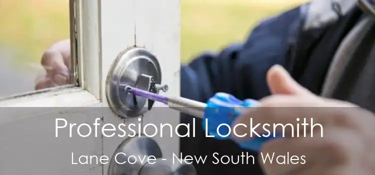 Professional Locksmith Lane Cove - New South Wales