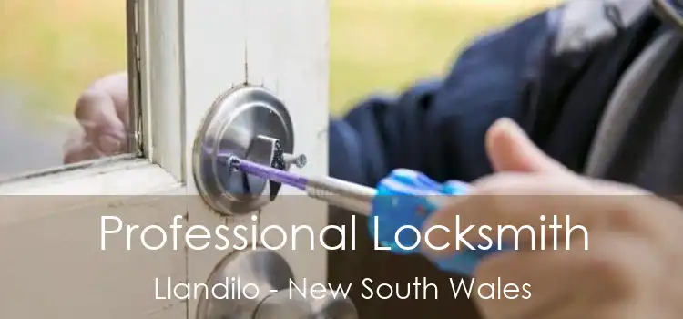 Professional Locksmith Llandilo - New South Wales