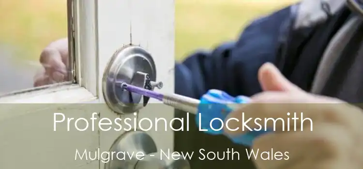 Professional Locksmith Mulgrave - New South Wales