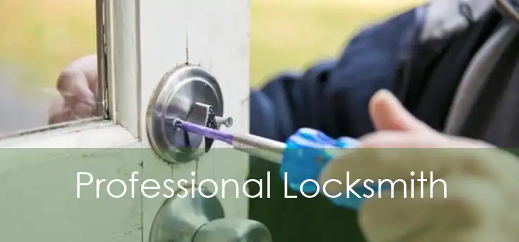 Professional Locksmith