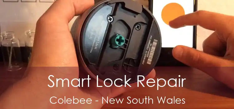 Smart Lock Repair Colebee - New South Wales