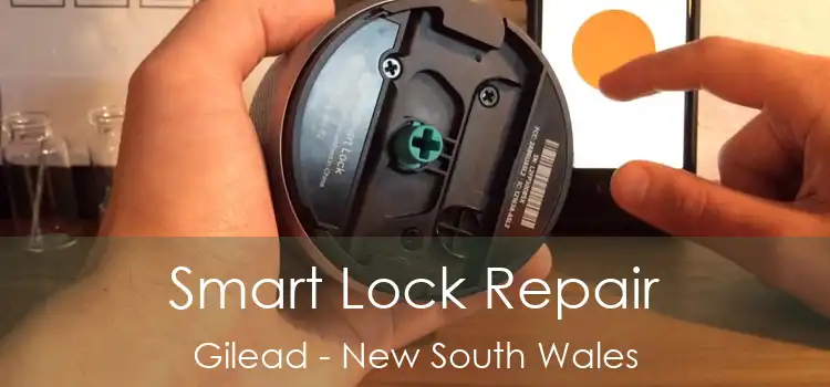 Smart Lock Repair Gilead - New South Wales