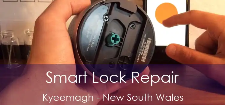Smart Lock Repair Kyeemagh - New South Wales