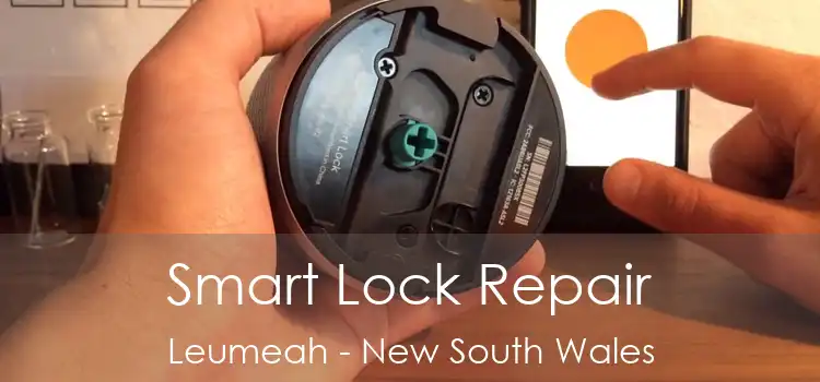 Smart Lock Repair Leumeah - New South Wales