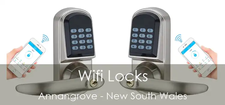 Wifi Locks Annangrove - New South Wales