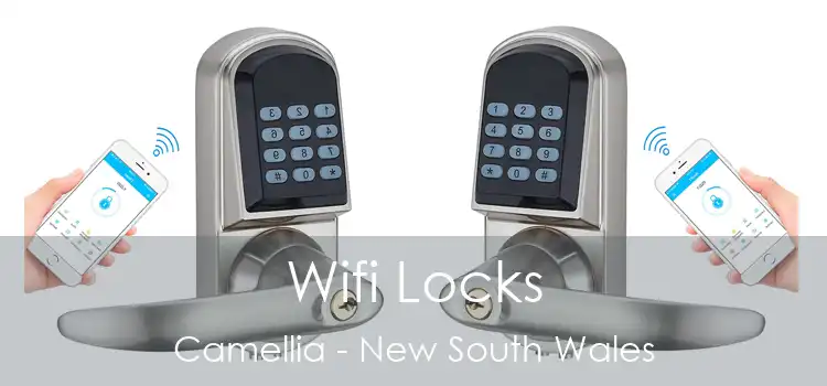 Wifi Locks Camellia - New South Wales