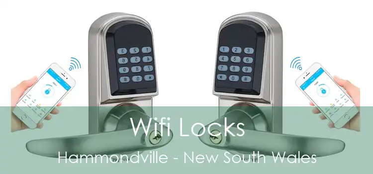 Wifi Locks Hammondville - New South Wales