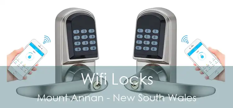 Wifi Locks Mount Annan - New South Wales